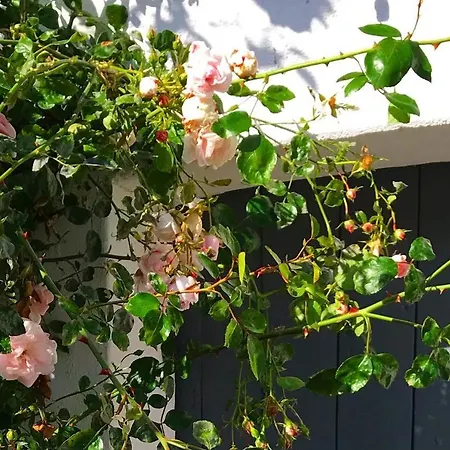 Camp Aastedbro - * Rask Molle