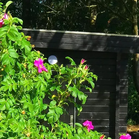 Camp Aastedbro - Rask Molle