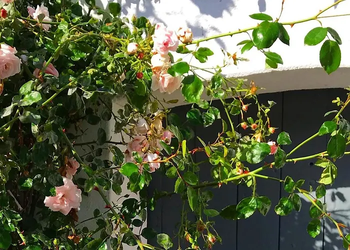 Camp Aastedbro - * Rask Molle