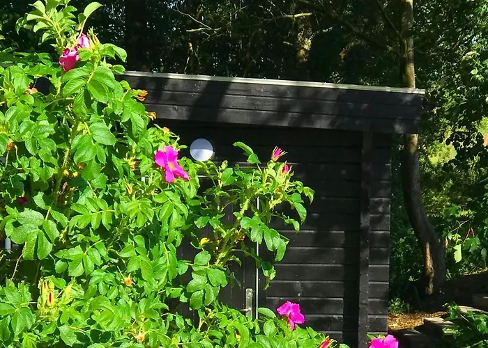 Camp Aastedbro - Rask Molle