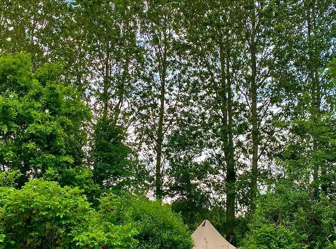 Nocleg ze śniadaniem Camp Aastedbro - *